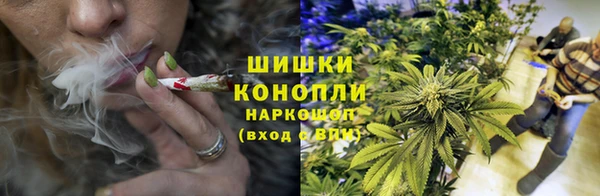 дживик Абинск