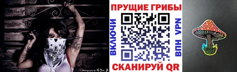 купить   Шимановск  Галлюциногенные грибы Psilocybe 