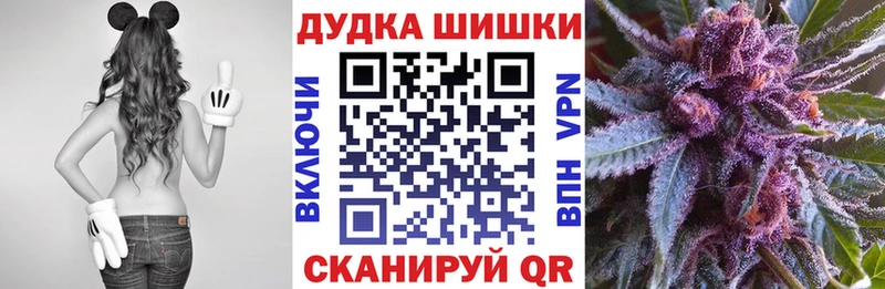 Бошки Шишки планчик сколько стоит Шимановск